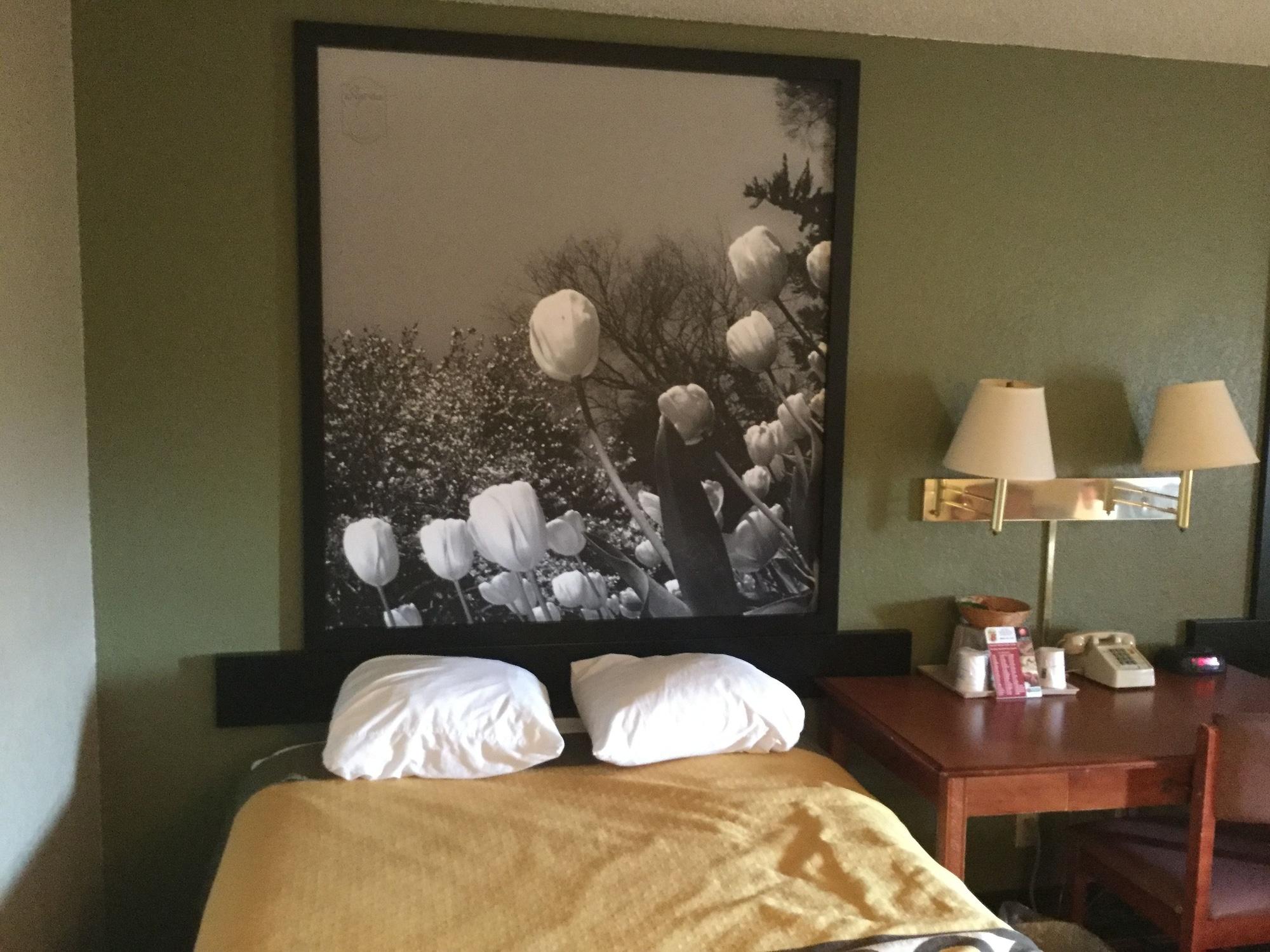 Super 8 By Wyndham Youngstown/Austintown מראה חיצוני תמונה