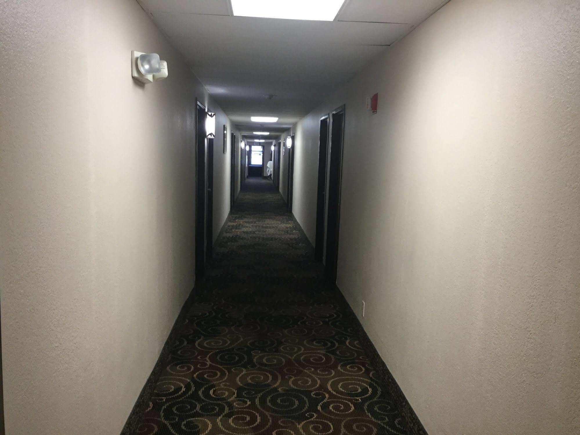 Super 8 By Wyndham Youngstown/Austintown מראה חיצוני תמונה